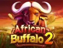 JILIDD Casino Promotion